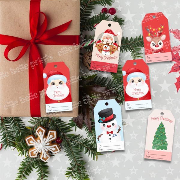 Christmas Gift Tags 2 - 10 Pack