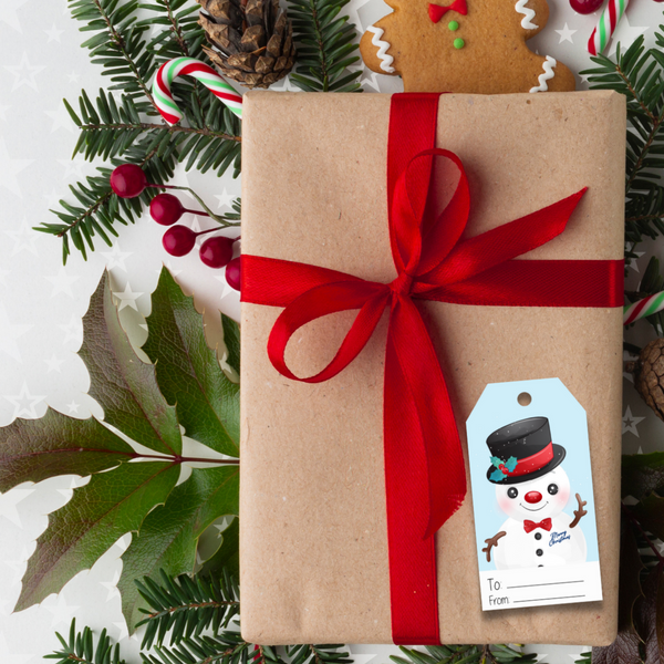 Christmas Gift Tags 2 - 10 Pack