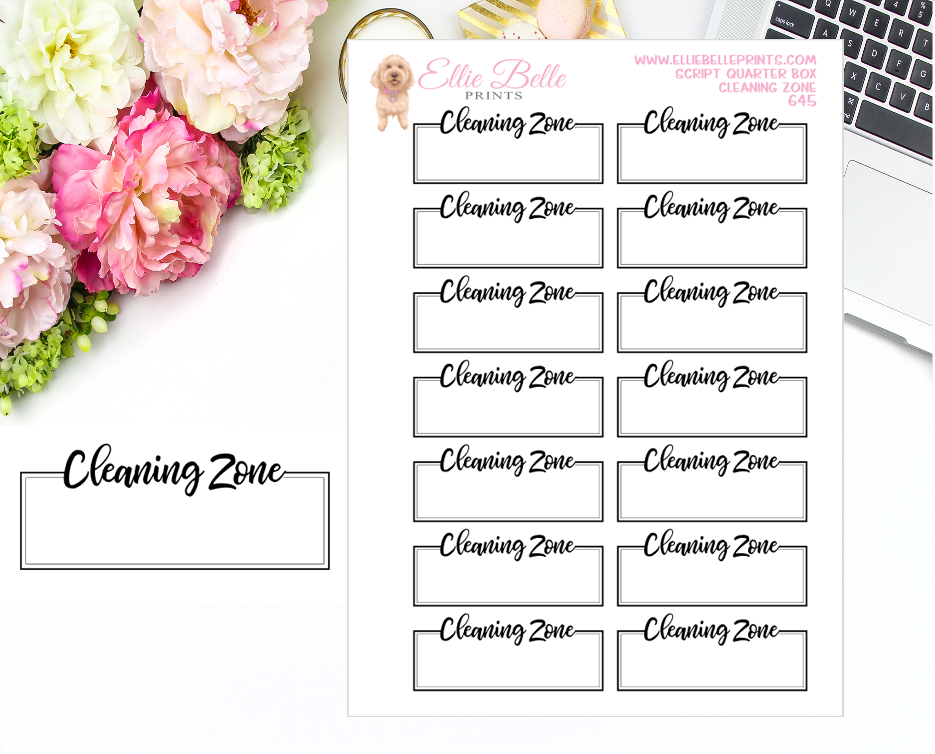 Cleaning Zone Quarter Box with Text - Text Boxes