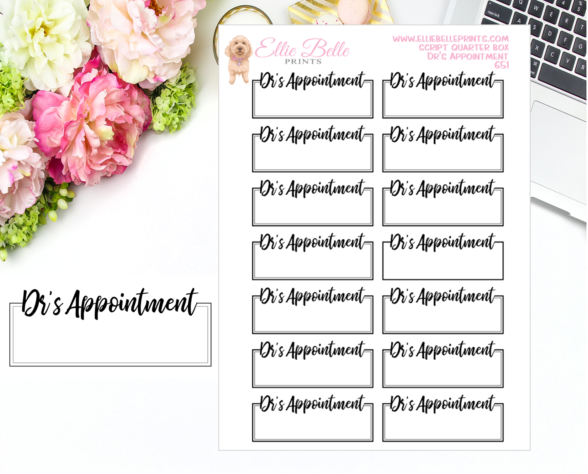 Dr's Appointment Quarter Box with Text - Text Boxes