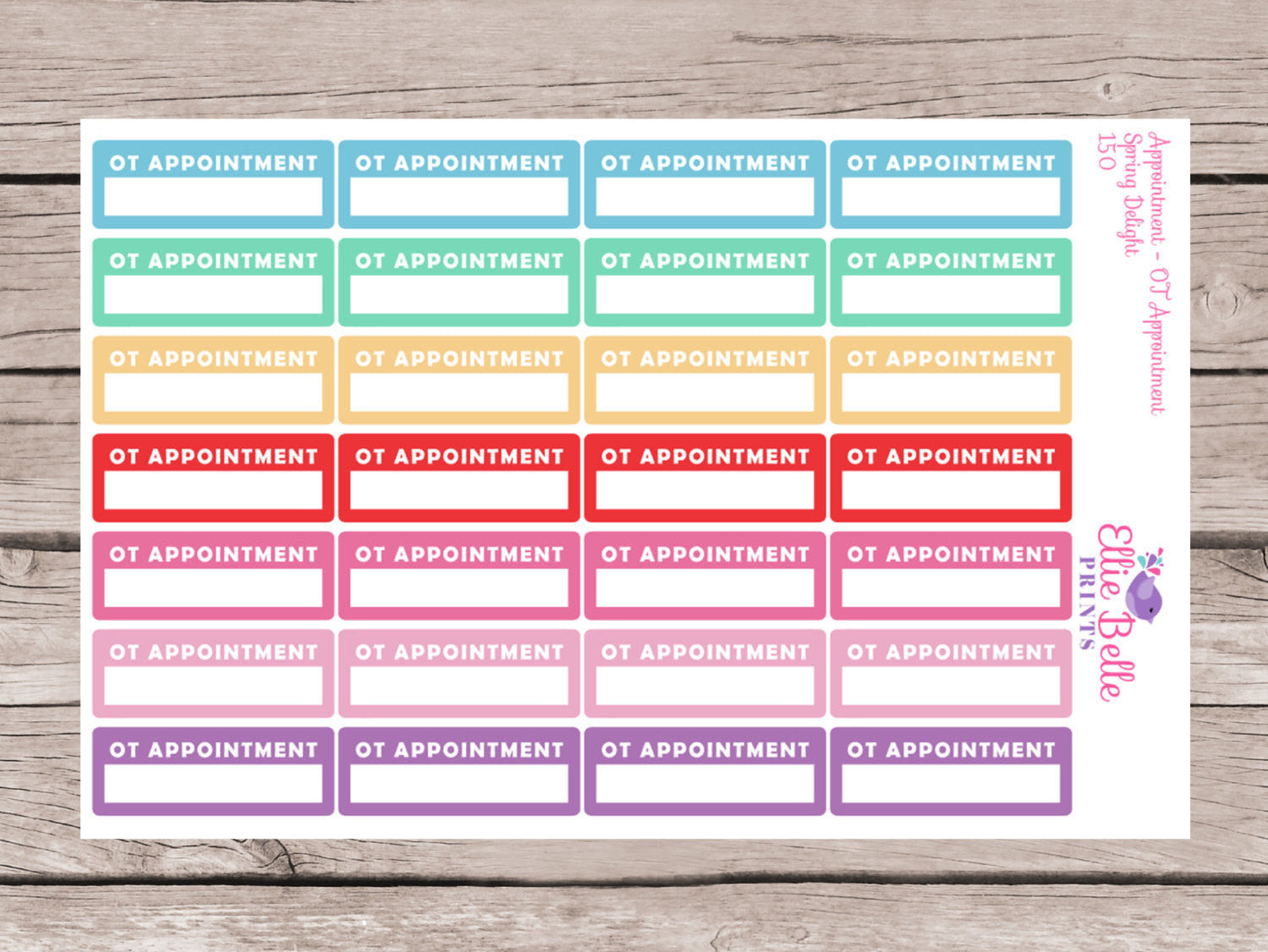 Occupational Therapy Planner Sticker (OT Appointment) - Spring Delight [150]
